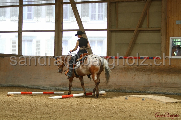 28-ApHC OT_202.jpg